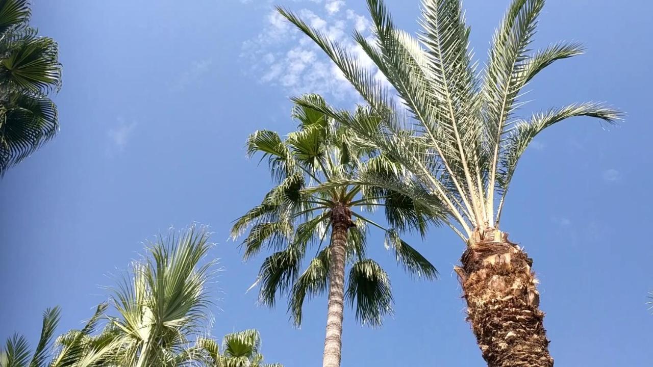 Fantastic 1 Bed Apartment By The Sea Opposite 4 Seasons לימסול מראה חיצוני תמונה