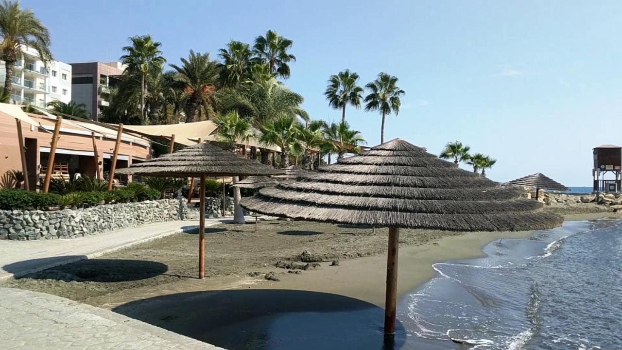 Fantastic 1 Bed Apartment By The Sea Opposite 4 Seasons לימסול מראה חיצוני תמונה