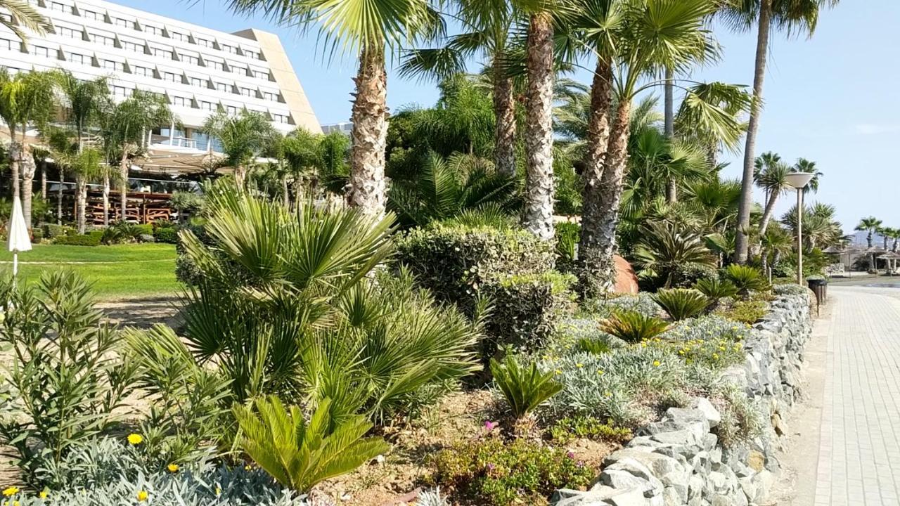 Fantastic 1 Bed Apartment By The Sea Opposite 4 Seasons לימסול מראה חיצוני תמונה
