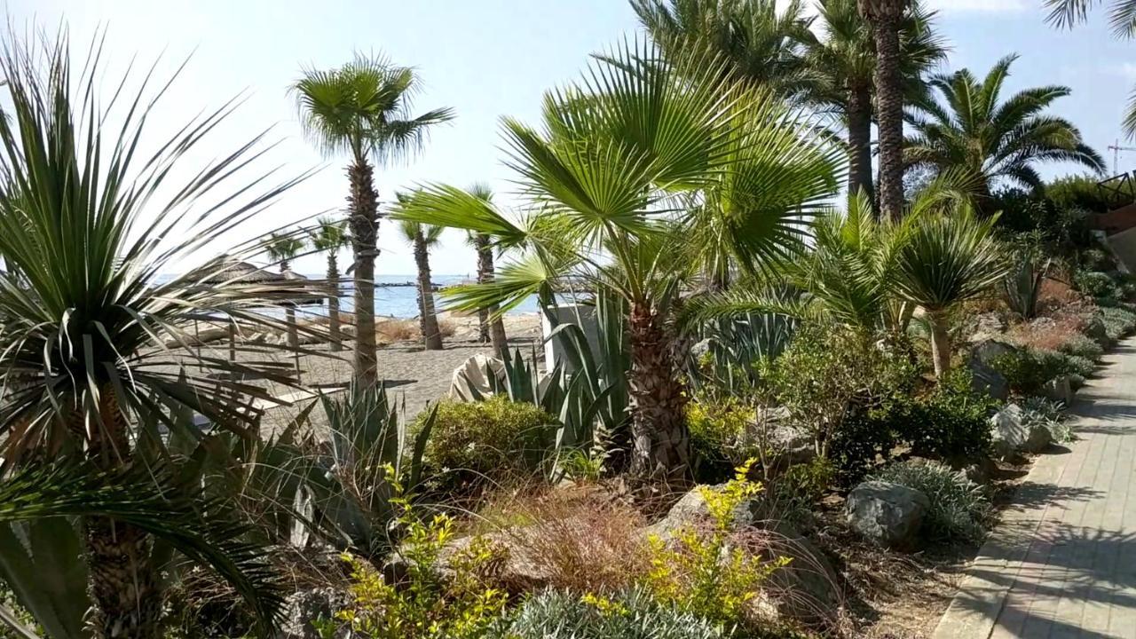 Fantastic 1 Bed Apartment By The Sea Opposite 4 Seasons לימסול מראה חיצוני תמונה